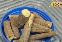 Mulethi ke fayde : चुटकियों में भगाए गले की खिचखिच, मिनटों में करे इम्यूनिटी बूस्ट…कई रोगों का काल