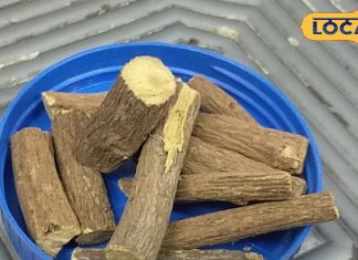 Mulethi ke fayde : चुटकियों में भगाए गले की खिचखिच, मिनटों में करे इम्यूनिटी बूस्ट…कई रोगों का काल