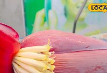 Kela Phool Sabji: प्रकृति का तोहफा है केले के फूल की सब्जी, हर मौसम में बॉडी रहेगी फिट, जानें रेसिपी – Bihar News