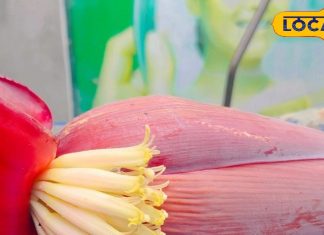 Kela Phool Sabji: प्रकृति का तोहफा है केले के फूल की सब्जी, हर मौसम में बॉडी रहेगी फिट, जानें रेसिपी – Bihar News