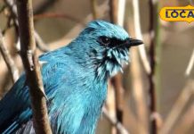 सिर्फ नज़ारे नहीं…… नैनीताल में यह अनुभव भी है हॉटस्पॉट, जानें कौन सी जगहें हैं खास – Uttarakhand News