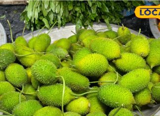 कई रोगों की काल है ये कांटेदार सब्जी, पेट की चर्बी पिघलाने में असरदार; जानें चमत्कारी फायदे – Uttar Pradesh News