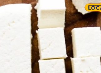 How to make fresh Paneer: फेस्टिवल हो या रोज का खाना, नकली पनीर से बचें, घर पर बनाएं शुद्ध और सॉफ्ट पनीर