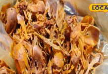 11 से ज्यादा बीमारियों का सफाया…ये सुगंधित मसाला कलयुग की संजीवनी, इसके फायदे चमत्कारी – Uttar Pradesh News