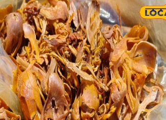 11 से ज्यादा बीमारियों का सफाया…ये सुगंधित मसाला कलयुग की संजीवनी, इसके फायदे चमत्कारी – Uttar Pradesh News