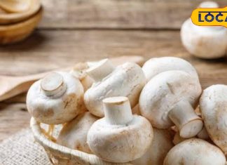 सिर्फ स्वाद ही नहीं, मशरूम कैसे बदल सकता है आपकी सेहत, इम्यूनिटी और मूड को बनाए बेहतर, जानें फायदे – Uttarakhand News