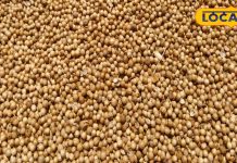 किचन का चमत्कारी मसाला, दर्जनों बीमारियों का इलाज, फायदे जानकर हो जाएंगे हैरान