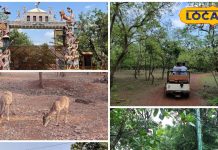 PHOTOS: हरियाली से लबरेज़ छत्तीसगढ़ का मनगटा वन, वीकेंड सैर सपाटे के लिए परफेक्ट प्लेस – Chhattisgarh News