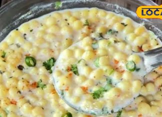 दही, बूंदी और मसालों का कमाल! जानिए रीवा का वो देसी रायता रेसिपी, जिसे खाकर कहेंगे – वाह मजा आ गया – Madhya Pradesh News