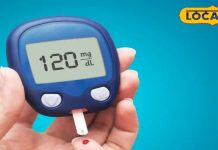 शुगर कंट्रोल के लिए मेथी, करेला, आंवला के फायदे जानें