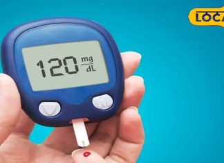 शुगर कंट्रोल के लिए मेथी, करेला, आंवला के फायदे जानें