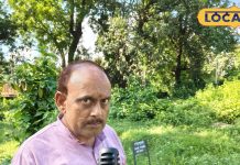 गजब की औषधि है यह साधारण सा पौधा, बीमारियों को यूं चुटकियों में कर देता है दूर, दमा-पेट रोग में भी रामबाण