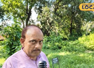 गजब की औषधि है यह साधारण सा पौधा, बीमारियों को यूं चुटकियों में कर देता है दूर, दमा-पेट रोग में भी रामबाण