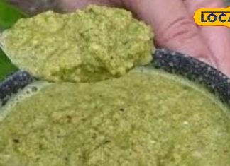 Moringa Chutney: सिर्फ 10 मिनट में तैयार करें हेल्दी मोरिंगा की चटनी, स्वाद और सेहत दोनों में नंबर वन