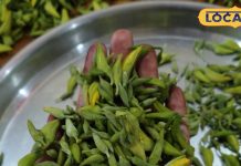 खाने से लेकर खेत तक… यह फूल कैसे बनता है हर समस्या का हल, जानिए फायदे जो आपको हैरान कर देंगे!