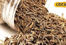 थकान से परेशान? नॉनवेज नहीं, किचन का ये छोटा सा मसाला देगा ताकत, इम्युनिटी और B12 का बूस्ट! – Uttarakhand News