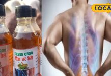 चोट, सूजन और जोड़ों के दर्द से परेशान? घर पर तैयार यह तेल देगा राहत, मिनटों में मोच भी ठीक – Uttar Pradesh News