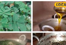 सिर्फ खेतों में नहीं, अब थालियों में भी राज कर रही है ये जंगली भाजी, स्वाद के साथ सेहत का भी खजाना