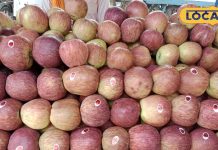 photo gallery :- Know the benefits and disadvantages of eating banana and how beneficial it is for health – Himachal Pradesh News