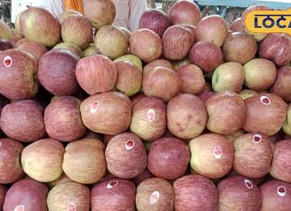 photo gallery :- Know the benefits and disadvantages of eating banana and how beneficial it is for health – Himachal Pradesh News