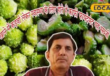 बाजार में आते ही हाथों-हाथ बिक गया कड़वा ककोड़ा, कीमत जानकर रह जाएंगे हैरान
