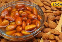 Health Tips: सिर्फ पांच दानों का जादू! सुबह उठते ही खाएं और पाएं मजबूत शरीर के साथ कोलेस्ट्रॉल से छुटकारा