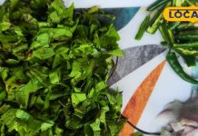 Green Chutney Recipe: न सिलबट्टे में पीसने की झंझट न मिक्सी की गर्र गर्र,सिर्फ 5 मिनट में बनती ये हरी चटनी, स्वाद लाजवाब! – Chhattisgarh News