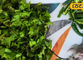 Green Chutney Recipe: न सिलबट्टे में पीसने की झंझट न मिक्सी की गर्र गर्र,सिर्फ 5 मिनट में बनती ये हरी चटनी, स्वाद लाजवाब! – Chhattisgarh News