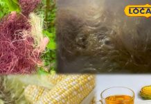 Health Tips: भुट्टे के रेशे को न समझें बेकार, इसमें छिपा है सेहत का खजाना, सेवन के मिलेंगे गजब के फायदे