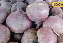 खून से लेकर हड्डियों तक… इस सब्ज़ी को खाकर लाल टमाटर की तरह चमकेगा चेहरा, जरूर करें डाइट में शामिल – Uttar Pradesh News