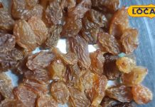 सुबह खाली पेट भीगी हुई किशमिश का करें सवेन, तेजी से घटेगा वजन; बाल और स्किन को भी मिलेंगे फायदे – Uttar Pradesh News