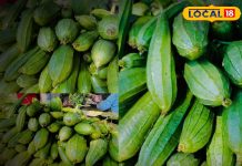 साल में सिर्फ एक महीने मिलने वाली यह सब्जी क्यों है इतनी खास? – Bharat.one हिंदी