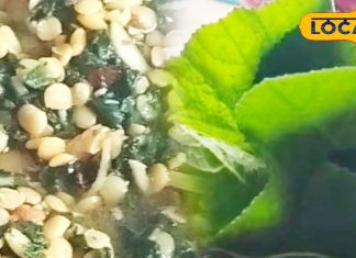 10 मिनट में तैयार मखना भाजी और दाल, इसका टेस्ट बिल्कुल बवाल, फौरन लिख लें रेसिपी – Chhattisgarh News