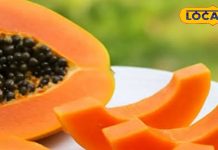 खतरे का फल: पपीते से दूर रहें ये लोग, खाने की तो बात ही छोड़ दें, देखने से भी डरें – Jharkhand News