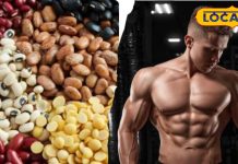 Health Tips: महंगे सप्लीमेंट्स छोड़ें, बीन्स से पाएं नेचुरल प्रोटीन और मजबूत बॉडी बिना किसी साइड इफेक्ट्स के