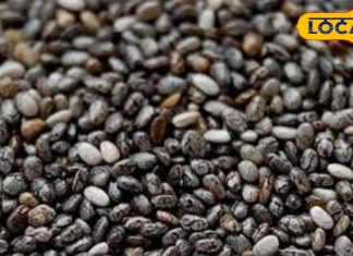 कैंसर और डायबिटीज से बचाएंगे छोटे-छोटे चिया सीड्स, लोग नहीं जानते सेवन का सही तरीका