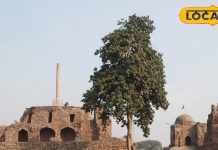 फिरोजाबाद घूमने का बना रहे हैं प्लान, जानें यहां के फेमस टूरिस्ट प्लेस और ऐतिहासिक जगह