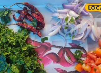 Moringa Bhaji Recipe: बस्तरिया अंदाज में बनाएं मूनगा भाजी, स्वाद ऐसा कि हर निवाला याद रह जाए – Chhattisgarh News