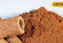 लकड़ी जैसा दिखने वाला ये सीक्रेट मसाला… शुगर, मोटापा, कोलेस्ट्रॉल कर देगा छूमंतर! बस ऐसे करें इस्तेमाल – Uttar Pradesh News