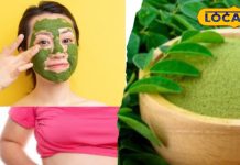 Health Tips: सुपरफूड से कम नहीं मोरिंगा का पाउडर, बीमारियां रहती है कोसो दूर, फायदे कर देंगे हैरान