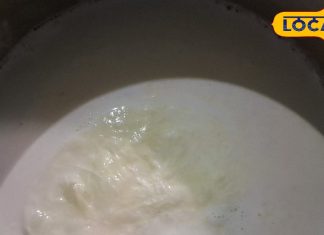 रात में दूध पीने की आदत है आपकी? जानिए सेहत के लिए कब बन सकता है फायदेमंद और कब नुकसानदेह – Uttar Pradesh News