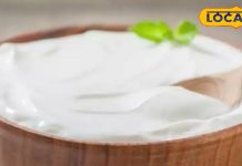 दही खाने से पहले जान लें ये छोटी बातें… वरना, डॉक्टर के पास लगानी पड़ेगी लाइन! दोनों होंगे कन्फ्यूज – Uttar Pradesh News