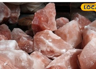 सेहत का पावर पैक! दिल्ली की सड़कों पर खूब बिक रहा पाकिस्तान का समुद्री नमक, थकान कम..हड्डियों होंगी मजबूत