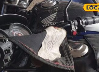 Know which colour vehicle will be auspicious for which zodiac sign – Bihar News