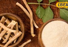 Ashwagandha: अश्वगंधा लेने से पहले जान लें एक्सपर्ट की ये 5 जरूरी बातें, वरना हो सकता है नुकसान! – Uttarakhand News