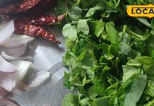 Learn how to make Torta Bhaji in traditional Bastar-style, the authentic desi way – Chhattisgarh News