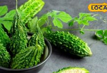 शुगर कंट्रोल में करैला कितना असरदार है, जानें Mirzapur एक्सपर्ट से