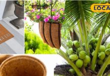 नारियल: स्वास्थ्य, आय और पर्यावरण के लिए हर मायने में उपयोगी पेड़