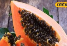 सेहत का सुपरफूड हैं पपीते के बीज, पाचन, लिवर और दिल के लिए तो वरदान