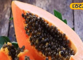 सेहत का सुपरफूड हैं पपीते के बीज, पाचन, लिवर और दिल के लिए तो वरदान